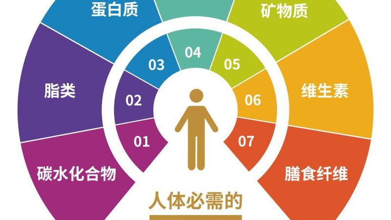 揭秘膳食补充剂OEM代工的利润空间与关键要素